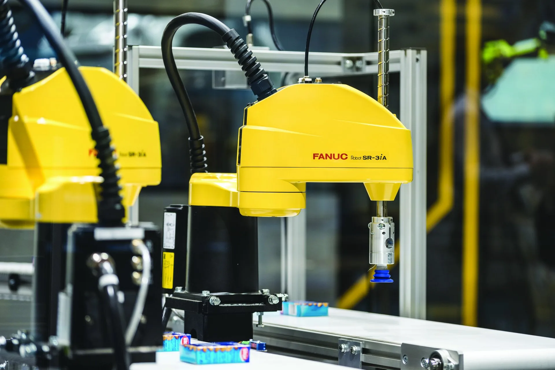 FANUC SCARA robots picking and placing product on a production line