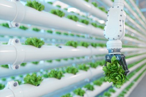 EOAT components are increasingly being used in automation and robotics applications across a range of agricultural operations, from planting and seeding to harvesting and handling crops.
